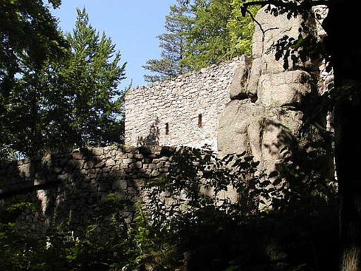 P7210077.jpg
