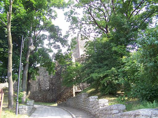 100_2295.JPG