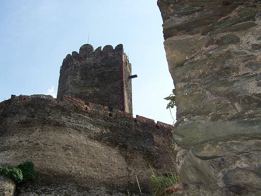 100_2298.JPG