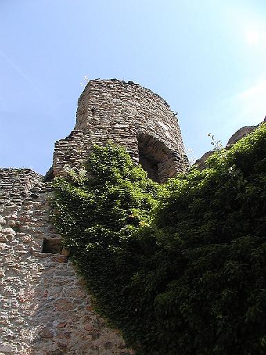P7080238.jpg