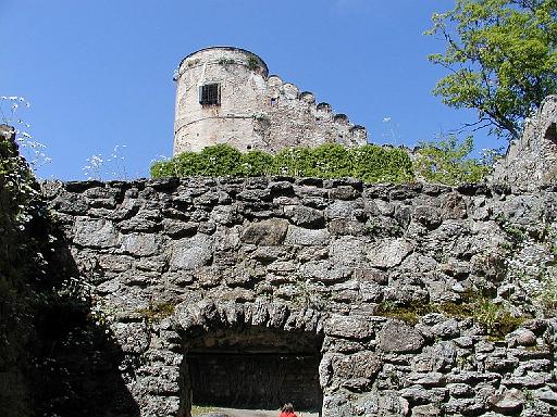 P7080239.jpg