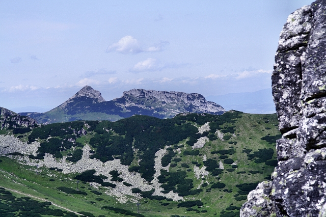 IMG_5286.JPG