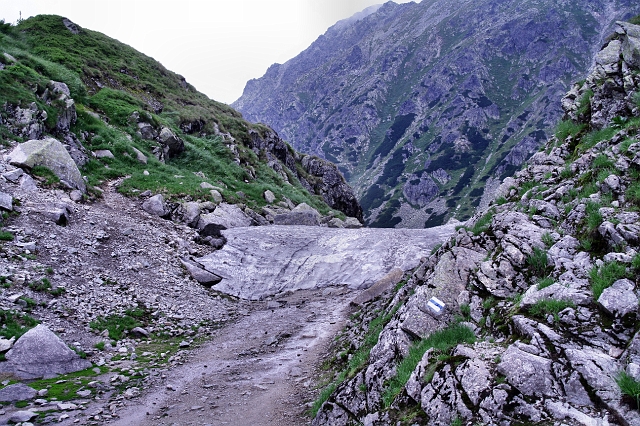IMG_5330.JPG