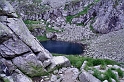 IMG_5333