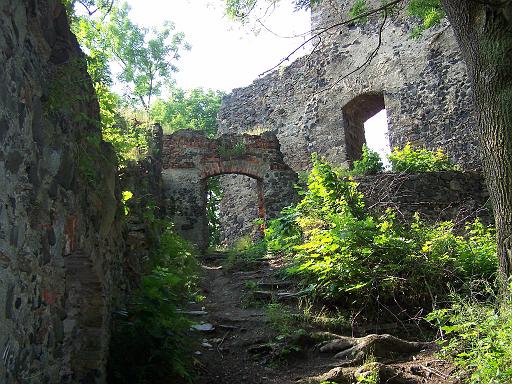 100_2250.JPG
