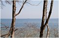 IMG_3920