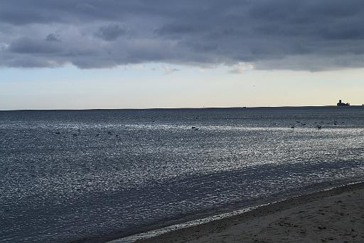 IMG_1115.JPG