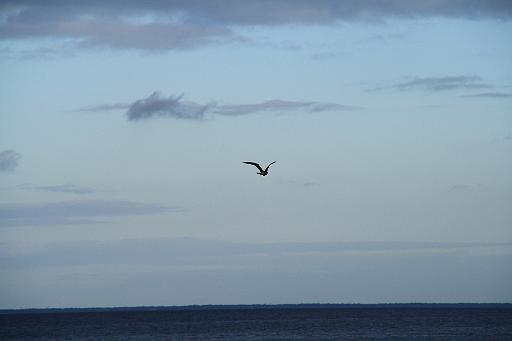 IMG_1125.JPG