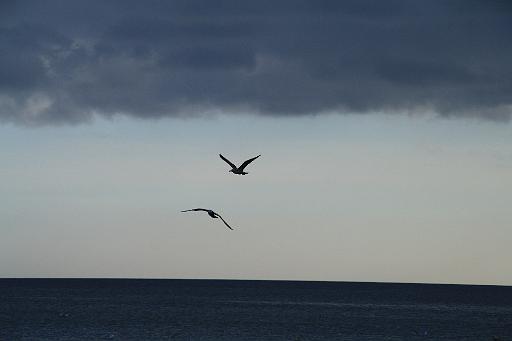 IMG_1134.JPG