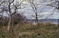 IMG_3056