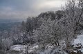 IMG_9281
