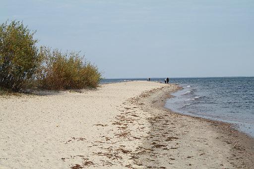 IMG_0516.JPG