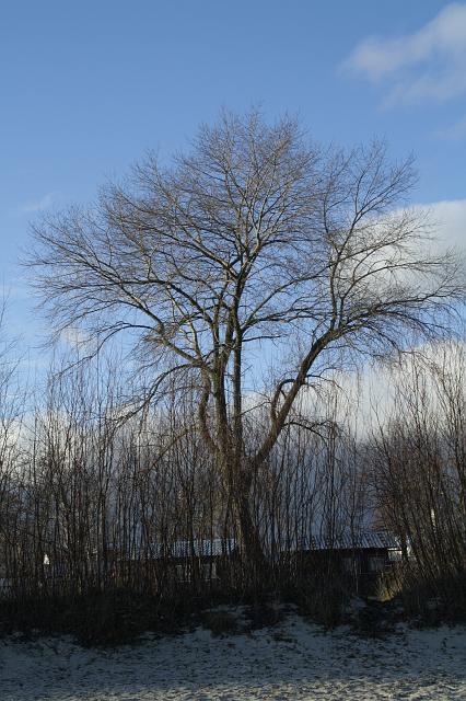 IMG_2633.JPG