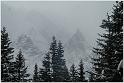 IMG_1677