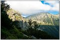 IMG_7146