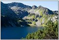 IMG_7305