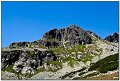IMG_7331