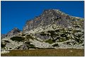 IMG_7333