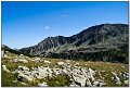 IMG_7336