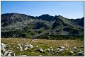 IMG_7337