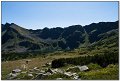 IMG_7338