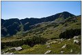 IMG_7339