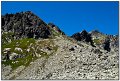 IMG_7343