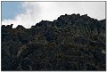 IMG_7508