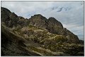 IMG_7510