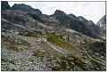 IMG_7512