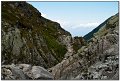 IMG_7517