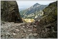 IMG_7541