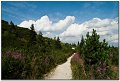 IMG_7556