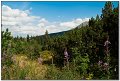 IMG_7557