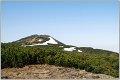 IMG_8557